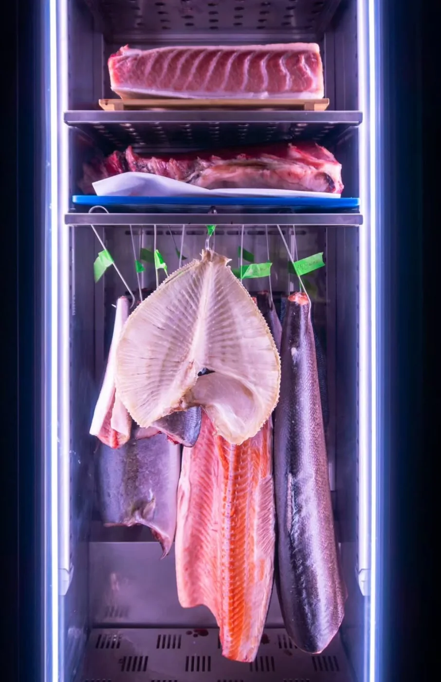 Fish ageing on hooks inside the dry-ageing cabinet.
