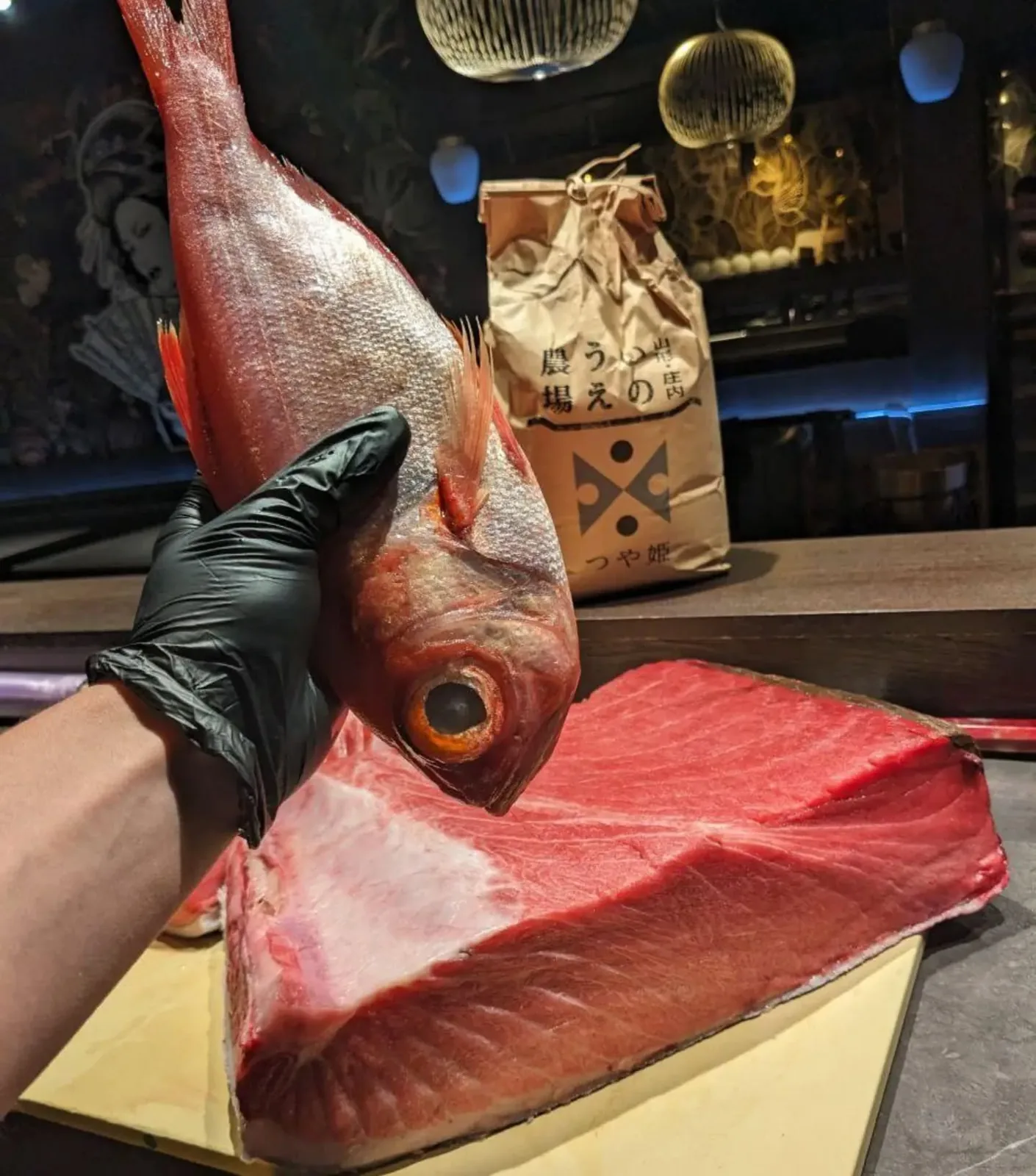 A whole red fish and a block of bluefin tuna held over the counter, with the rice behind.